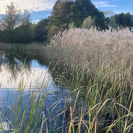 Het Duinhuisje * Goedereede