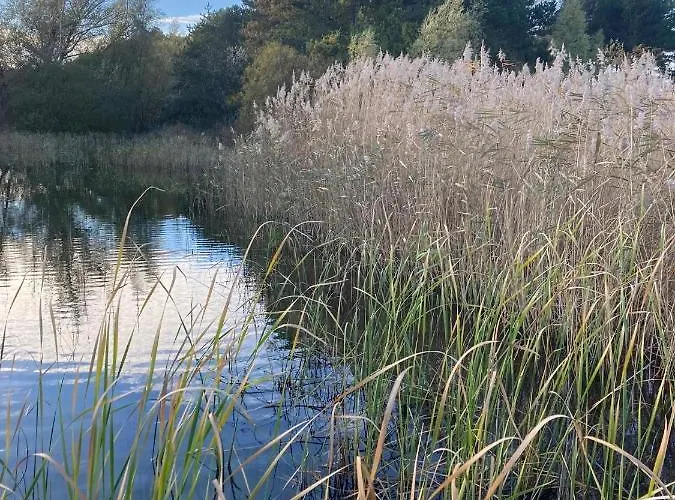Het Duinhuisje * Goedereede