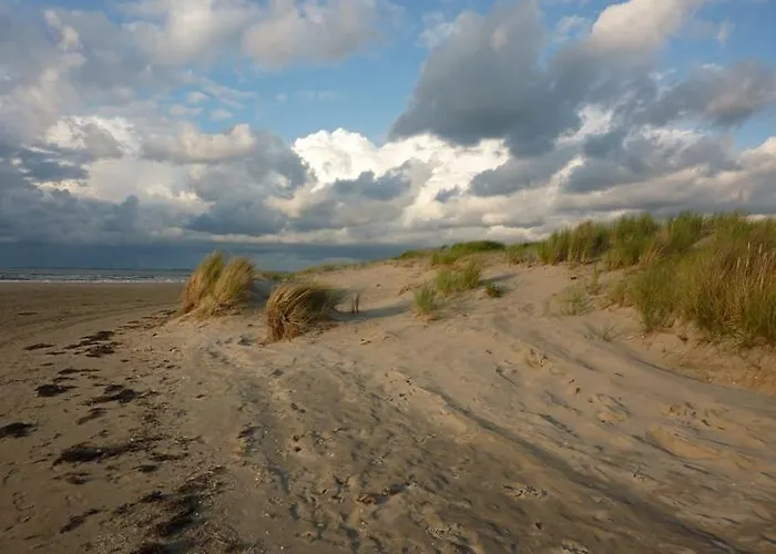 Het Duinhuisje Holiday home Goedereede