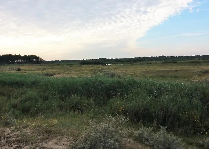 Het Duinhuisje بيت للعطل